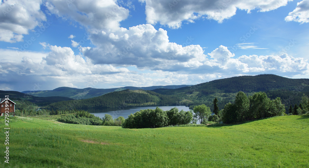 Journey to Norway, the fjord flows among hills covered with forests and green fields
