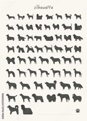 Various dog breeds specimen Mega set. flat design style minimal vector illustration.