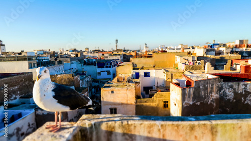 view of medina of essaoiura morocco, photo as background photo