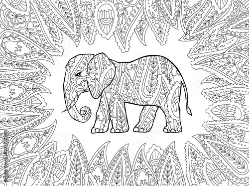 Fototapeta Naklejka Na Ścianę i Meble -  Coloring page with doodle style elephant in zentangle inspired style.