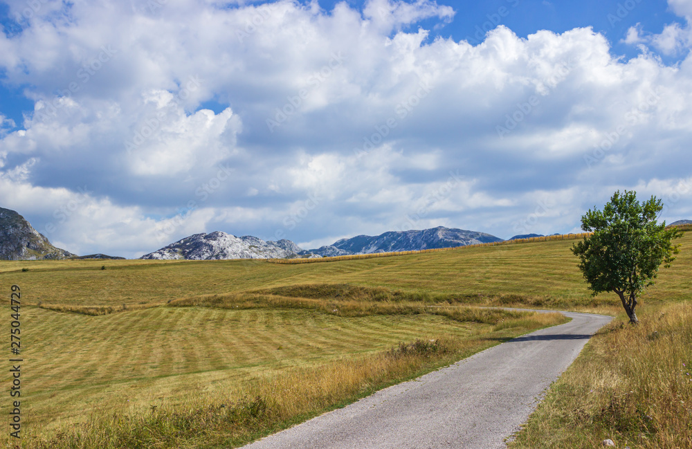 Mountain landscape and road in the autumn cloudy day.