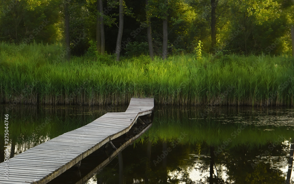 A small pond in the woods with a wooden bridge. Cozy resting place. A small pond in the woods with a wooden bridge. Cozy resting place.