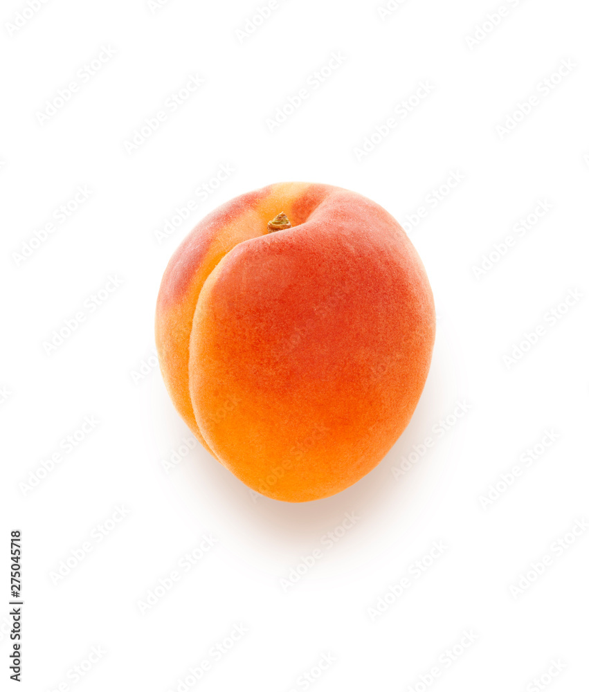 Aprikose Aprikose
