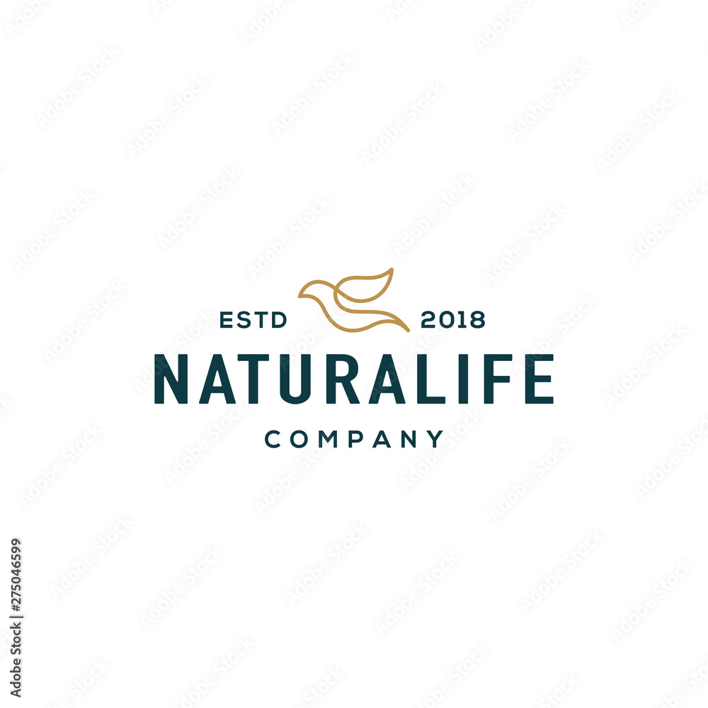 Fototapeta premium Bird logo design concept. Universal bird logo.