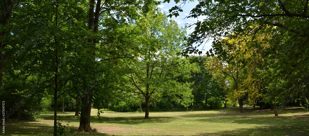Green Impressions from the Goethe Park in Berlin-Wedding on June, 2, 2015, Germany Green Impressions from the Goethe Park in Berlin-Wedding on June, 2, 2015, Germany
