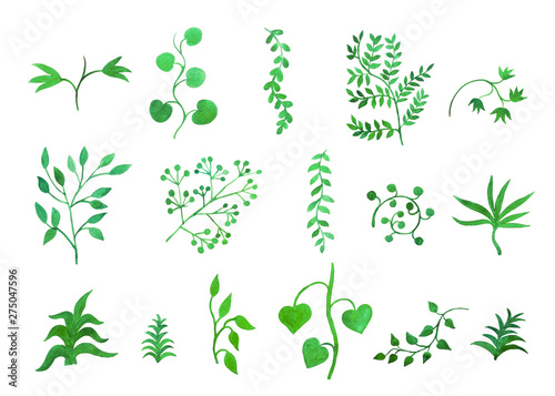 set di piante illustrazione acquerello sfondo bianco isolato