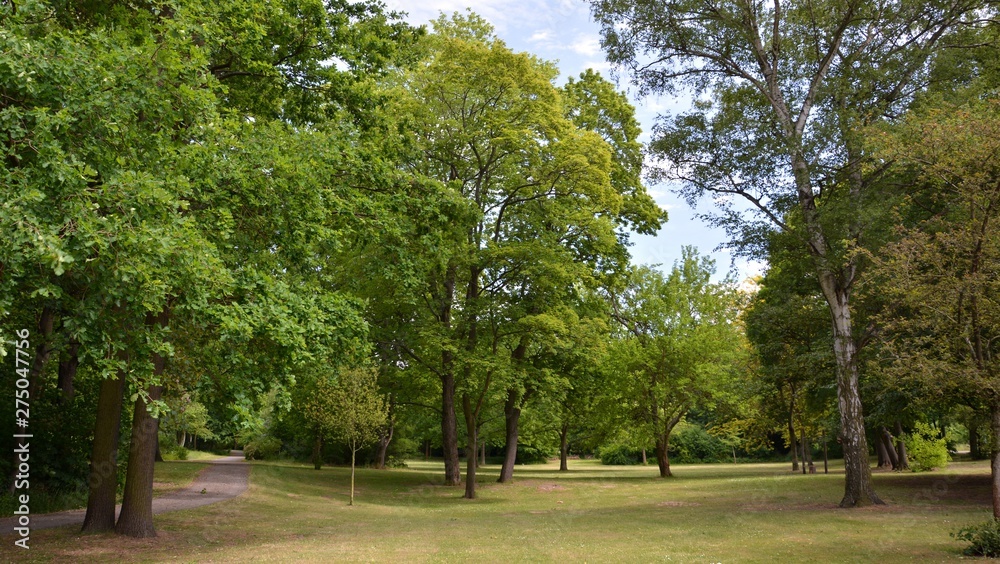 Green Impressions from the Goethe Park in Berlin-Wedding on June, 2, 2015, Germany