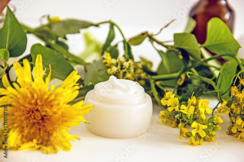 Natural organic herbal wellness cosmetics. Home cosmetics concep