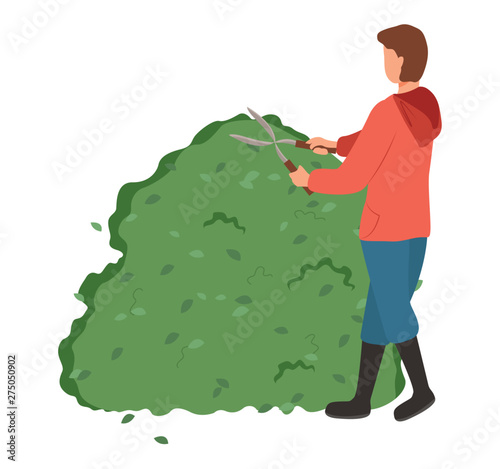 Gardener cutting bush, back view of man character decoration plant by scissors, worker shaping garden, person in working clothes pruning hedge vector
