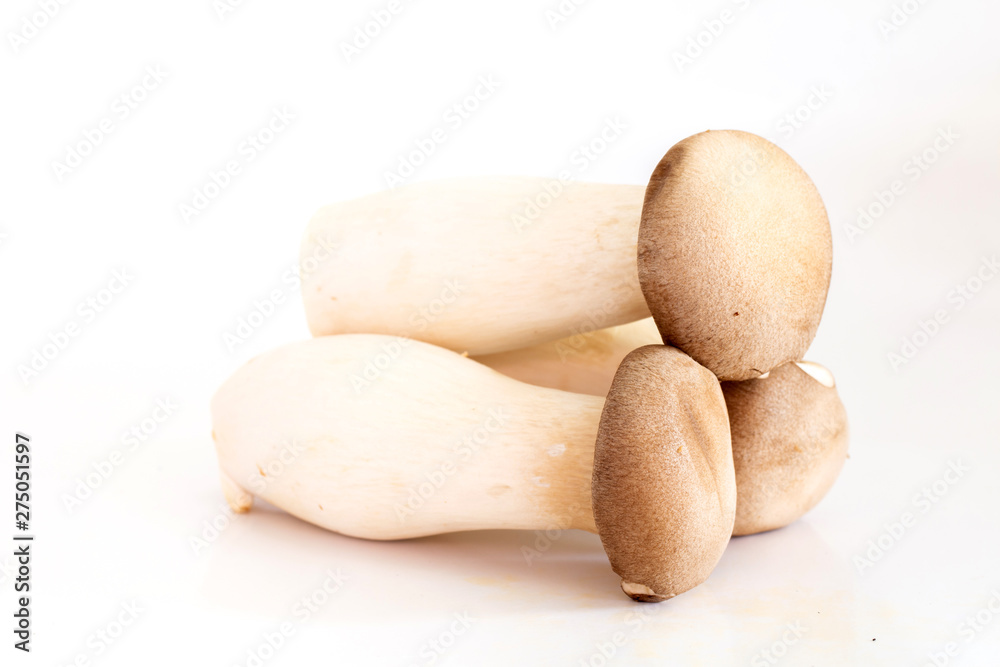 King oyster mushroom or Eryngii mushroom isolated on white background King oyster mushroom or Eryngii mushroom isolated on white background