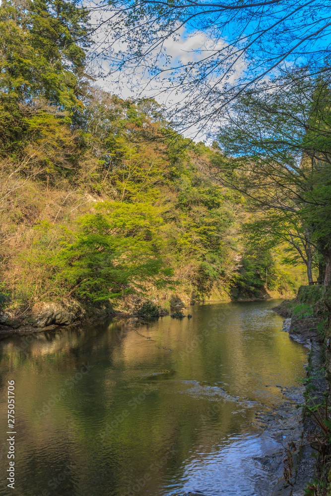 春の養老渓谷の中瀬遊歩道からみた風景