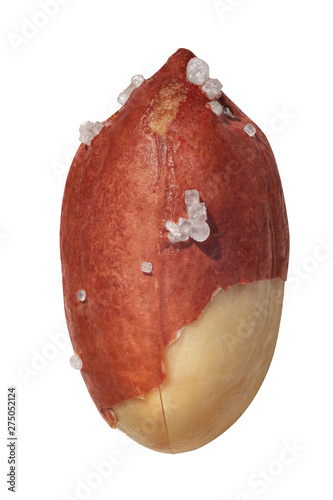 Roasted peanut isolated on white background