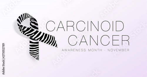 Carcinoid Cancer Awareness Calligraphy Poster Design. Realistic Zebra Stripe Ribbon. November is Cancer Awareness Month. Vector