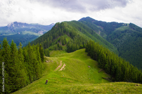 cyclist rides in the mountains. Romanian Carpathians