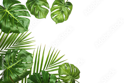 Tropical leaves Monstera and palm isolated, Swiss Cheese Plant, isolated on white background. Flat lay, top view.