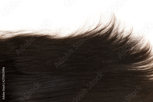 Dark natural hair on a white background
