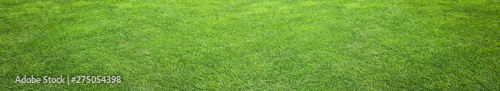 Natural Green Grass Field Background