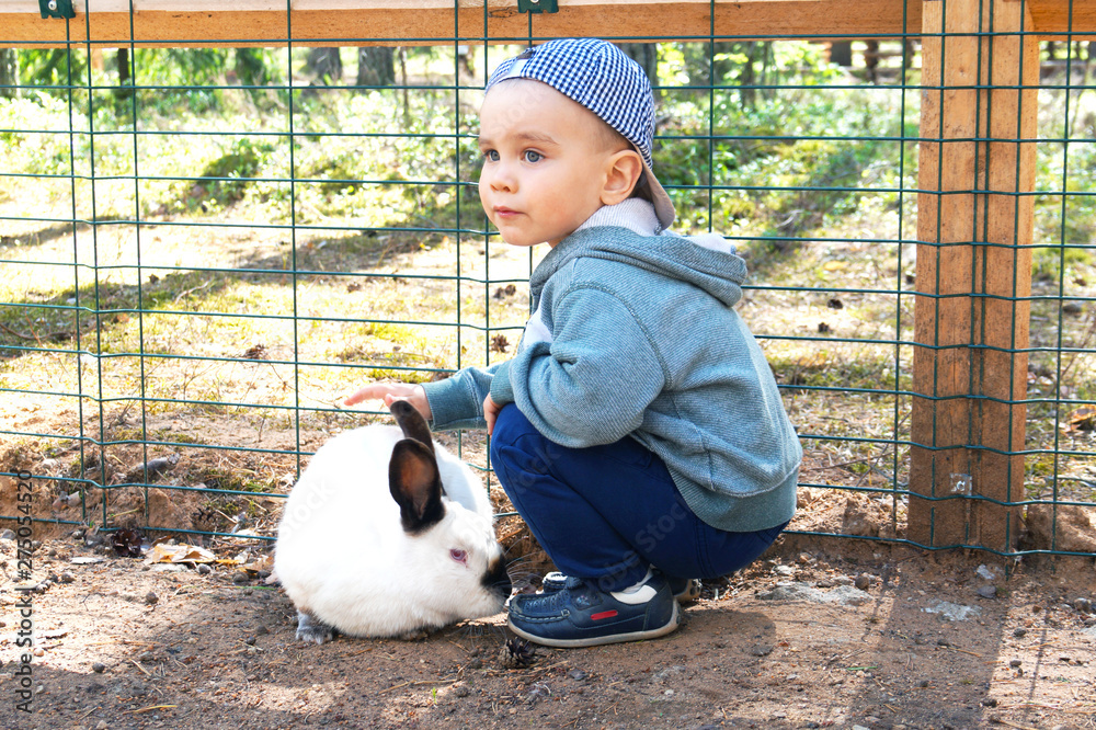 Cute little boy stroking a white rabbit. Cute little boy stroking a white rabbit.