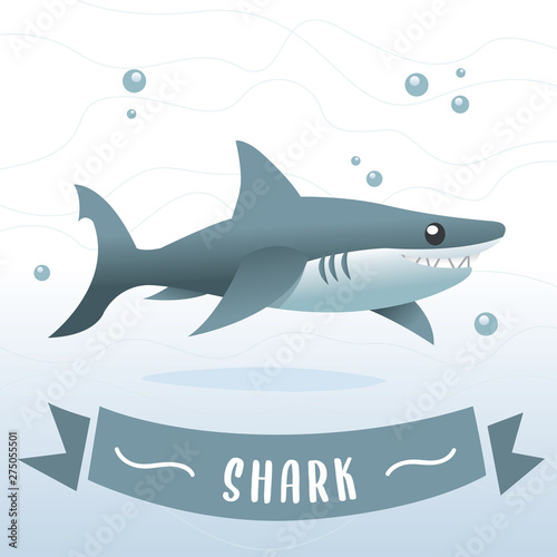 Shark cartoon fish character. Blue shark cartoon, Sharks cartoon character in vector. Smiling shark cartoon illustration