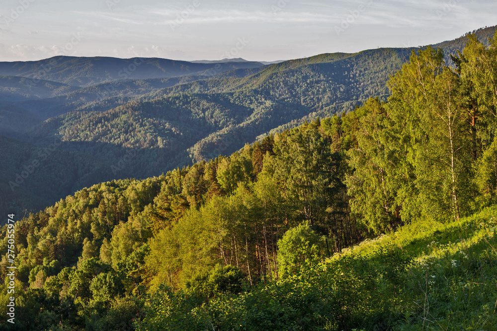 Fototapeta premium landscape in the mountains
