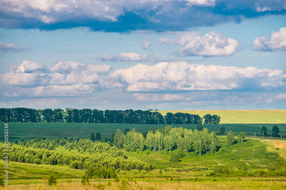 View of agricultural field with white fluffy clouds in blue sky at sunny summer day View of agricultural field with white fluffy clouds in blue sky at sunny summer day