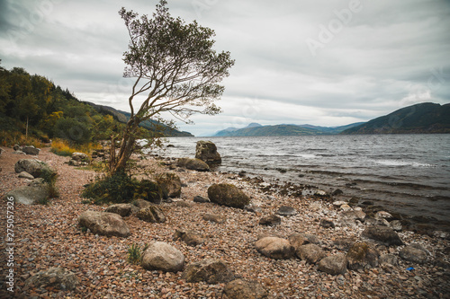 Shores of Loch Ness in Scotland photo