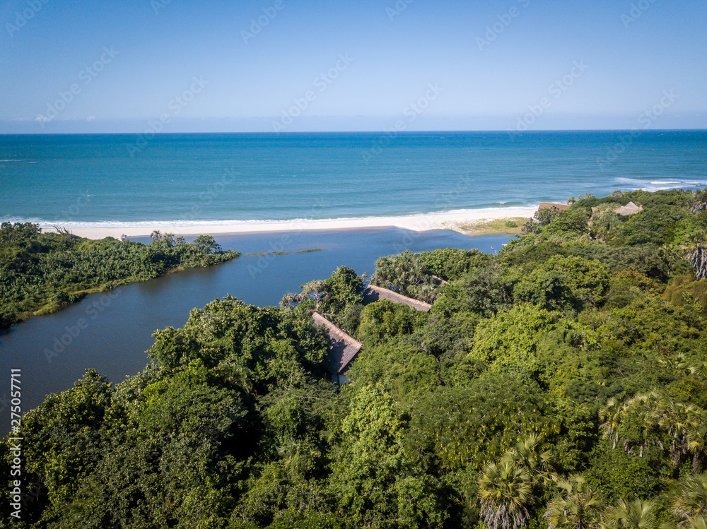 Drone picture of the forest and Indian ocean.