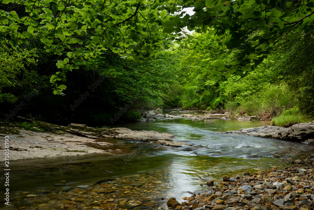 Erro river , Sorogain forest in Erro Valley, Navarre, Spain Erro river , Sorogain forest in Erro Valley, Navarre, Spain