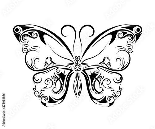 Beautiful black and white butterfly isolated on white.