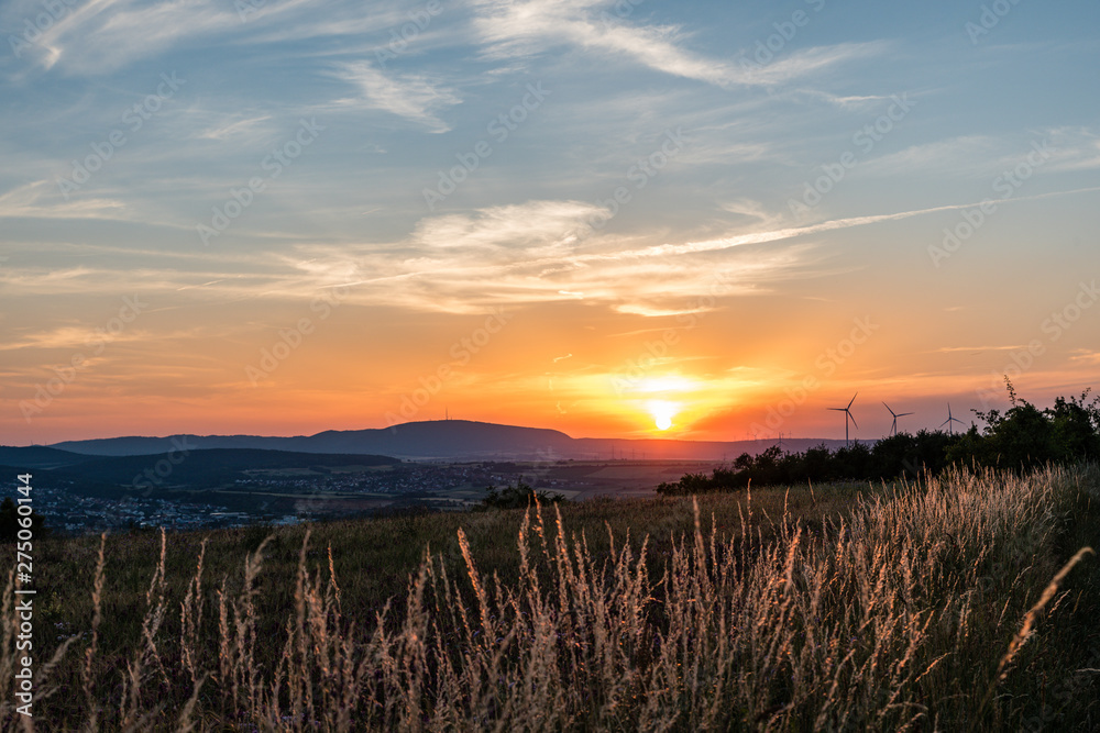 goldene gräser im sonnenuntergang goldene gräser im sonnenuntergang