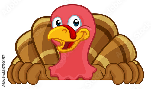 Turkey Thanksgiving or Christmas bird animal cartoon character peeking over a background sign