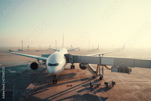 Jet aircraft docked in airport. Parking at terminal gate.