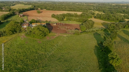 Aerial view of an Italian farm house with animals grazing surrounded by fields photo