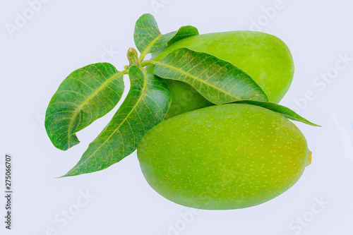 close up of green mangoes and green leaves isolated