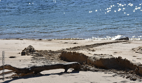 Drift wood and tire impressions of boat on sand