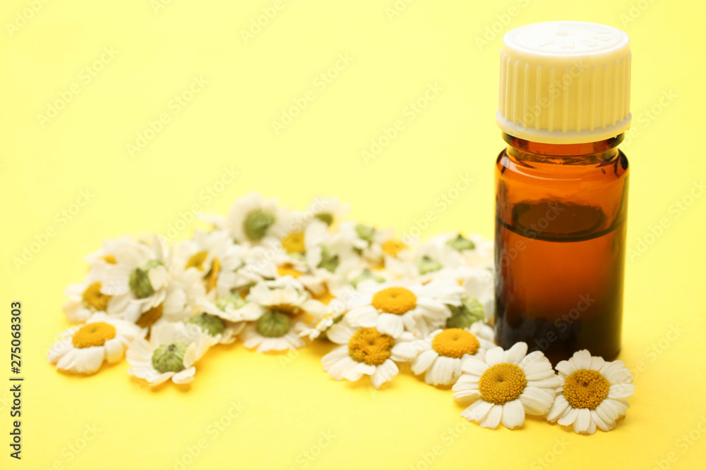 aroma oil and chrysanthemum flowers aroma oil and chrysanthemum flowers
