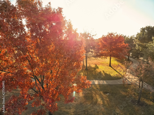 Top view close-up colorful autumn trees in the park with curved pathway near Dallas