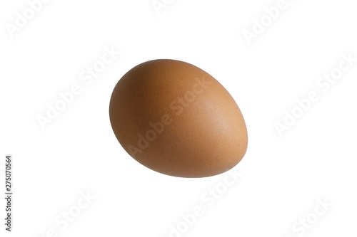 Brown egg closeup isolated on white background