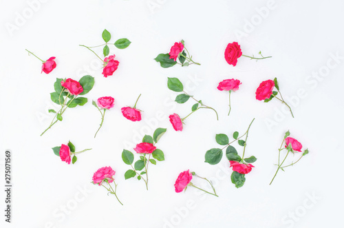 Wallpaper Mural Background of small twigs of scarlet roses on a white background. Torontodigital.ca