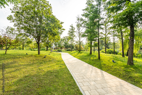 Fototapeta Naklejka Na Ścianę i Meble -  path in the park