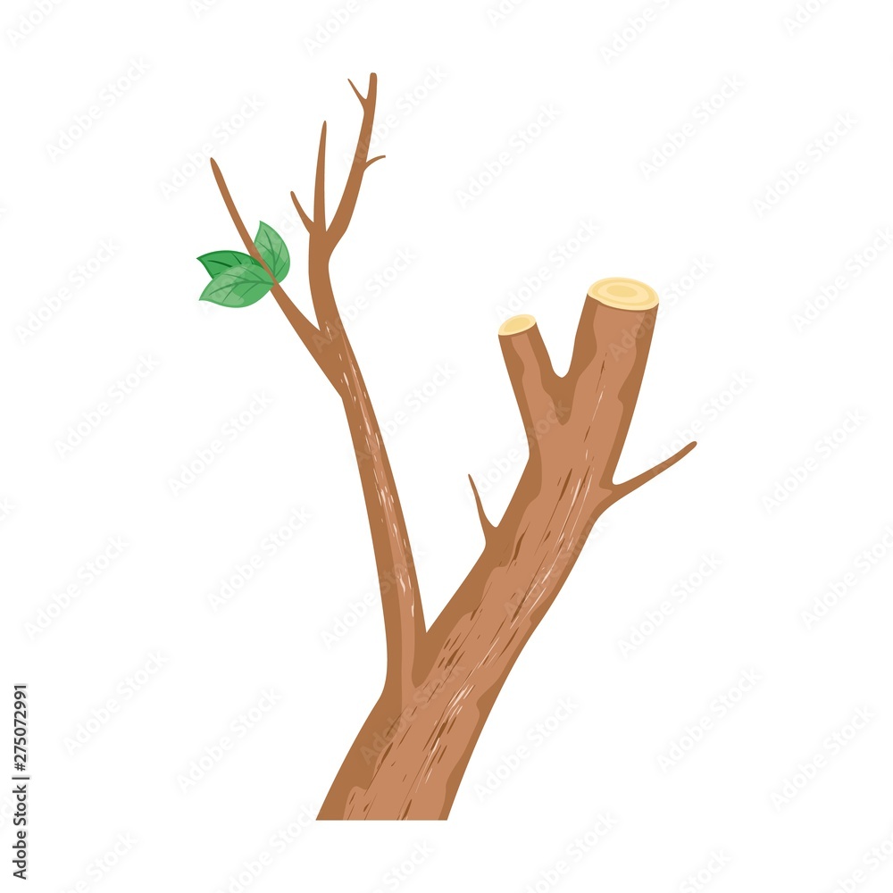 Vector image shows brown cut branch with alone green leaf isolated illustration cartoon style Vector image shows brown cut branch with alone green leaf isolated illustration cartoon style