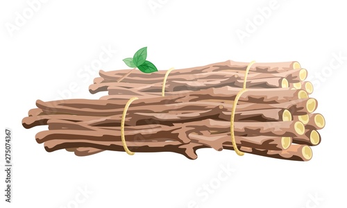 Vector image shows brown branches with green leaves stack bound with yellow cord cartoon style