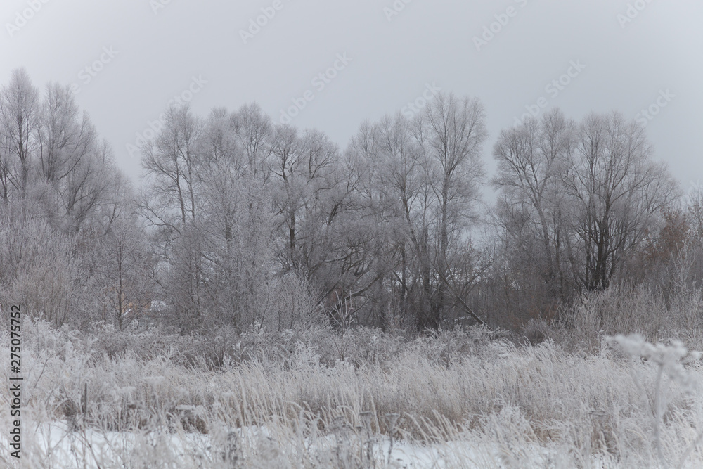Russian provincial natural landscape in gloomy weather Russian provincial natural landscape in gloomy weather