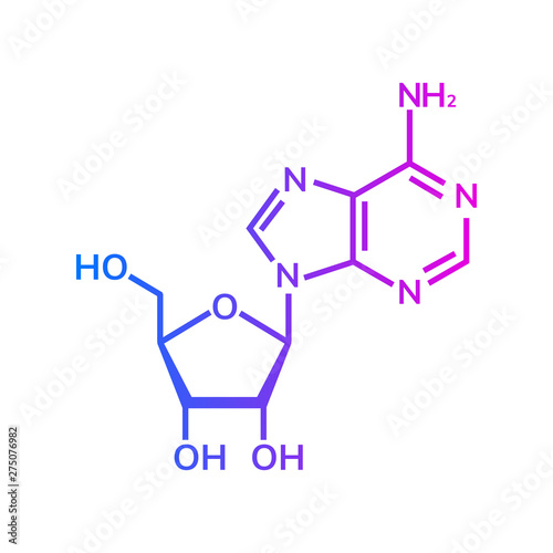 Adenosine chemical formula on white background