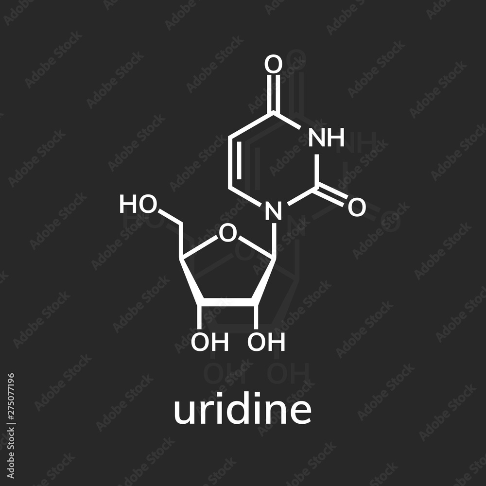 Fototapeta premium Uridine chemical formula on dark background