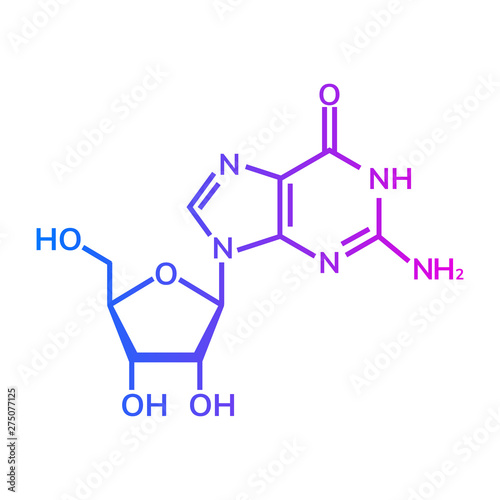 Guanosine chemical formula on white background