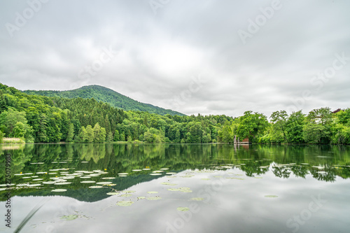 hoeglwoerth lake, bavaria, germany photo