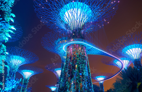 Gardens by the Bay at night in Singapore