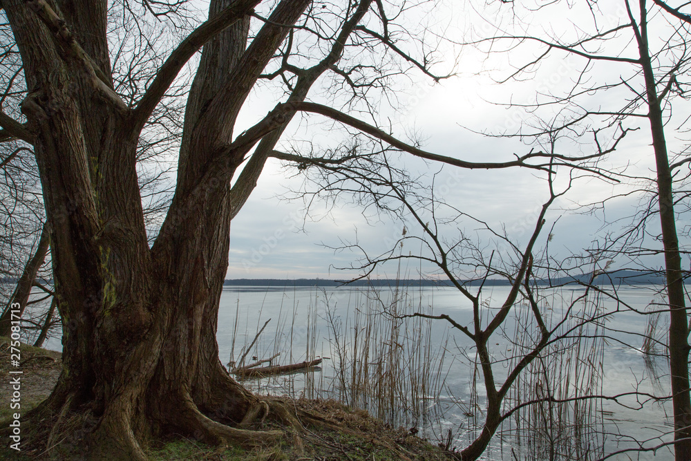 Müggelsee Eis