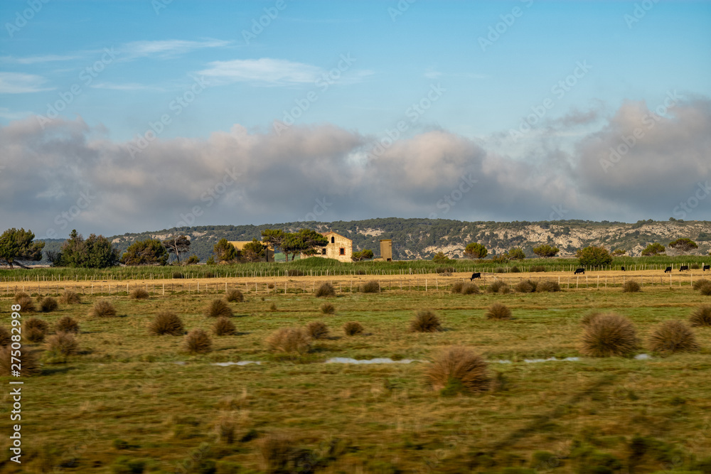 Obraz premium landscape in camargue